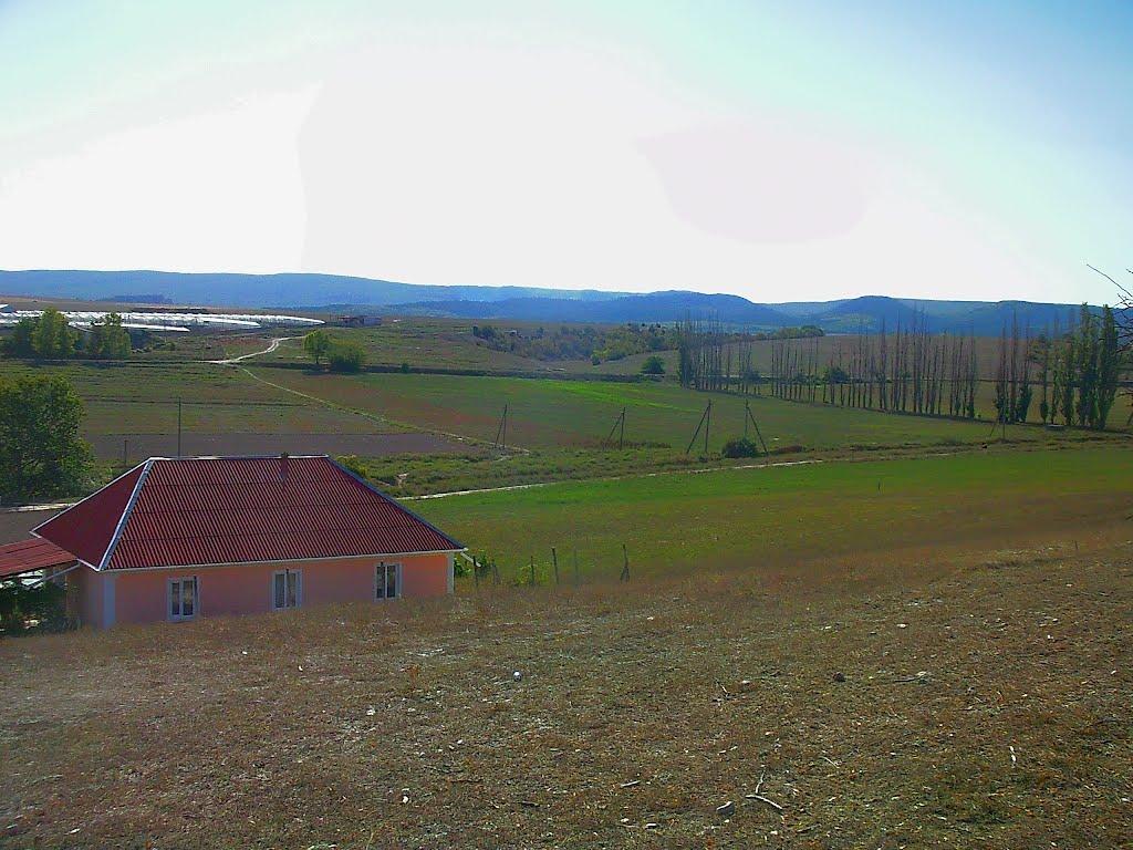 Холмівка з panoramio.com - Холмовка