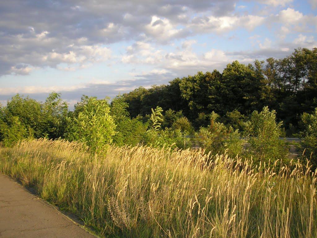 Чертеж з panoramio.com - Чертеж