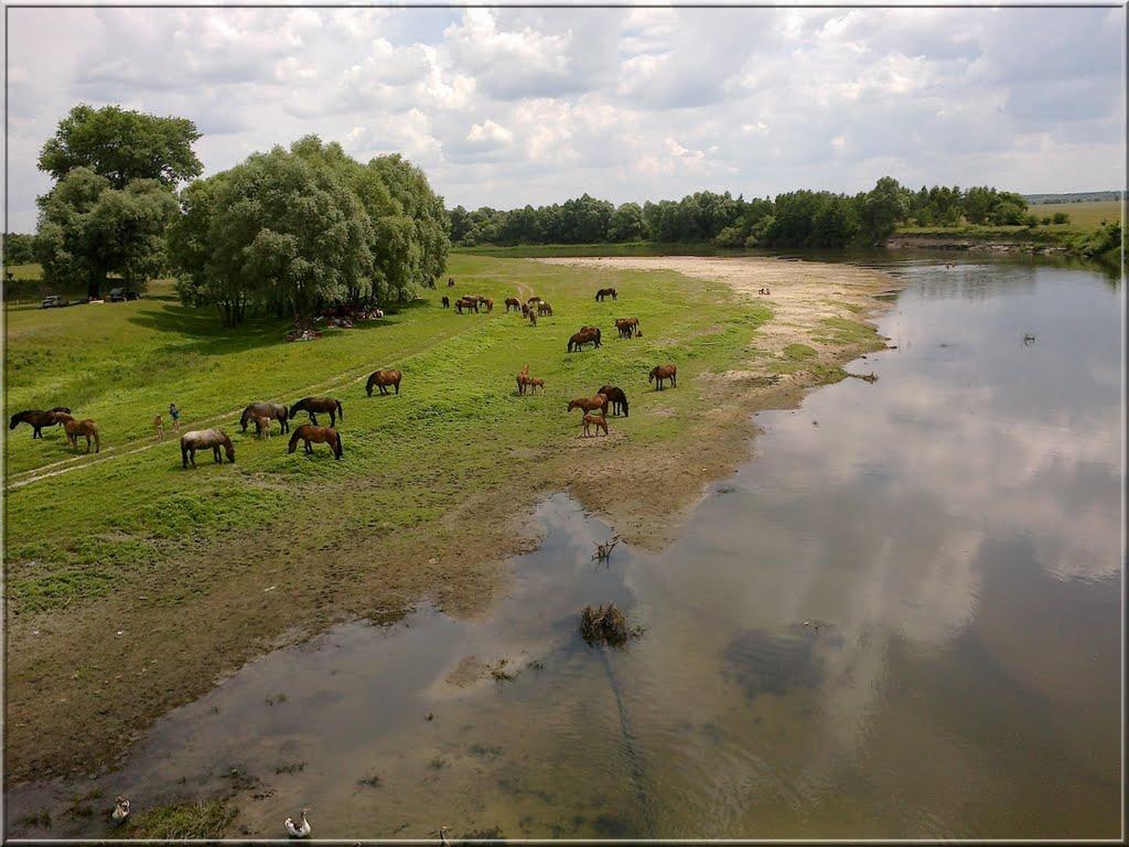 Мутин з panoramio.com - Мутин