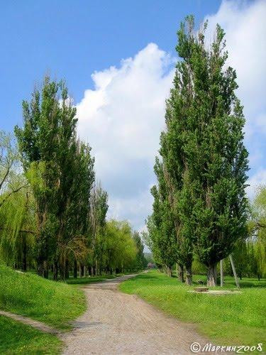 Дружківка з panoramio.com - Дружковка