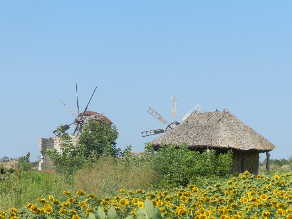 Вереміївка з panoramio.com - Веремиевка