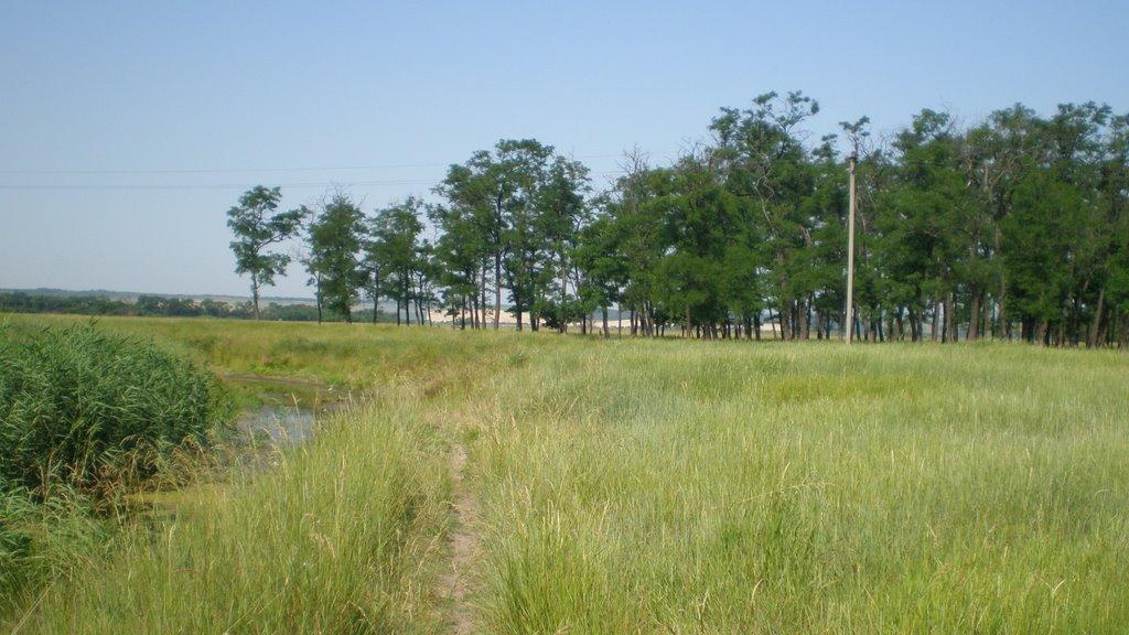 Петропавлівка з panoramio.com - Петропавлівка