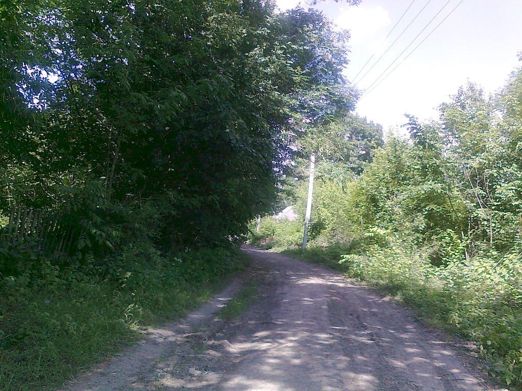 Андрушівка з panoramio.com - Андрушівка