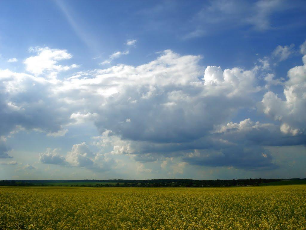 Русанівці з panoramio.com - Rusanivtsi