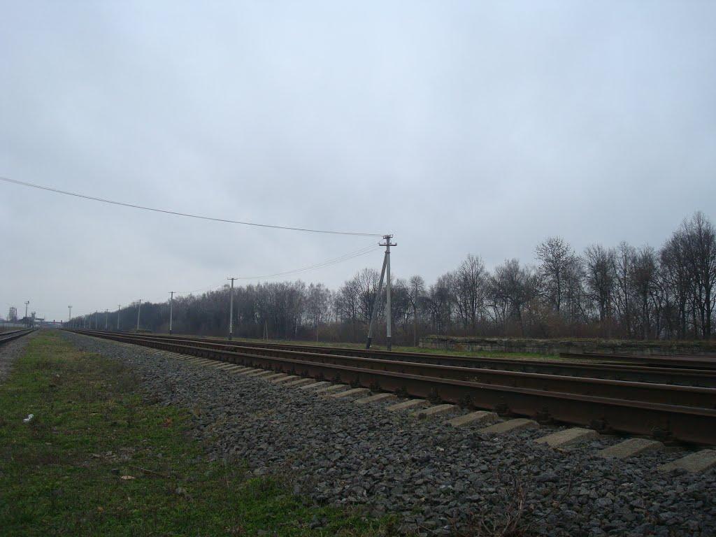 Пашківці з panoramio.com - Пашковцы