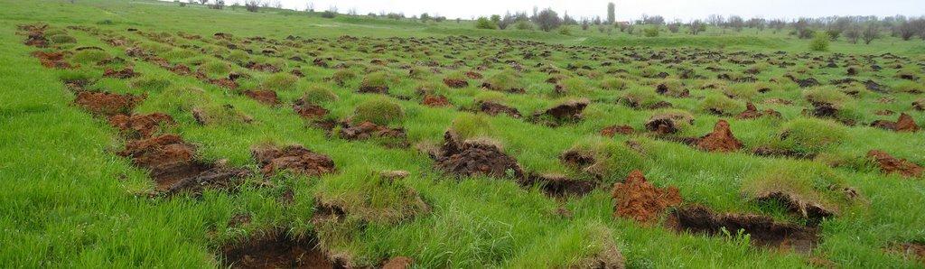Гвардійське з panoramio.com - Гвардейское