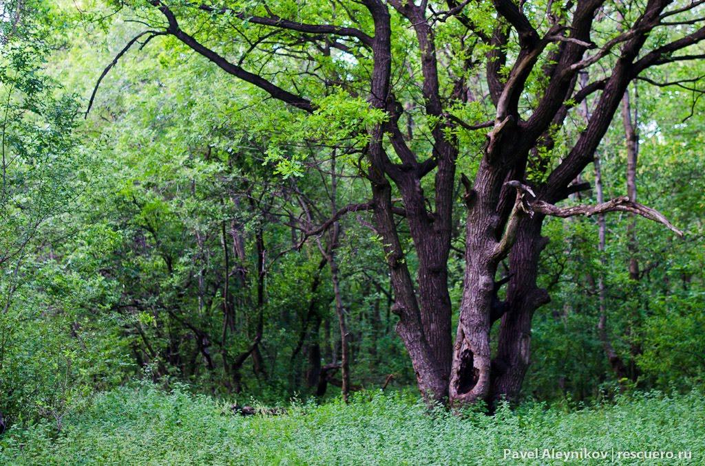 Торез з panoramio.com (ч.2) - Торез