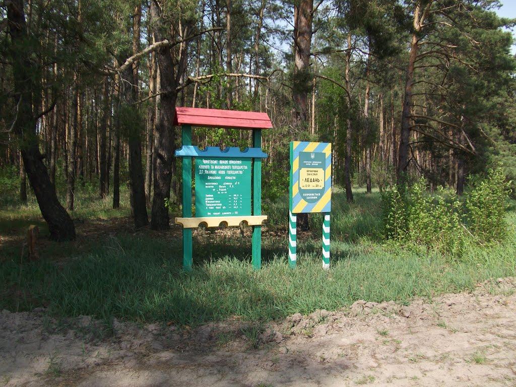 Уборки з panoramio.com - Уборки