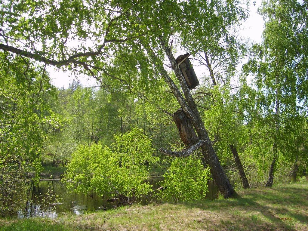 Перга з panoramio.com - Перга