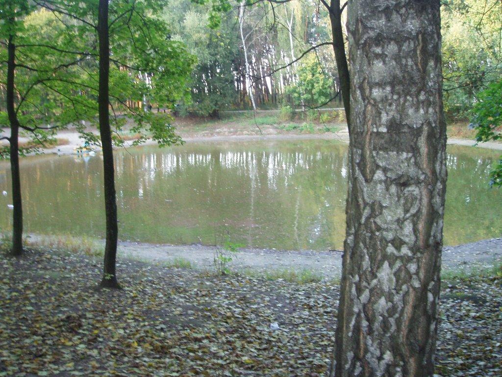 Дергачі з panoramio.com - Дергачи