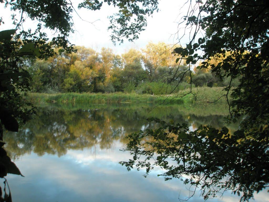 Довге з panoramio.com - Довге