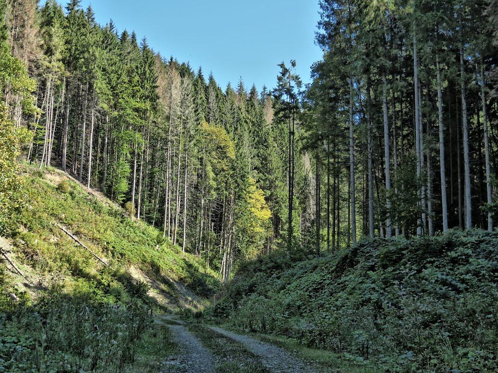 Нижня Рожанка з panoramio.com - Нижняя Рожанка