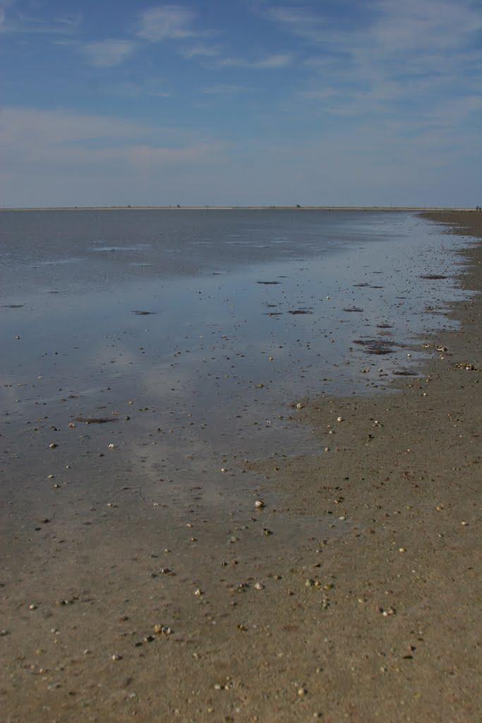 Львове з panoramio.com - Львове