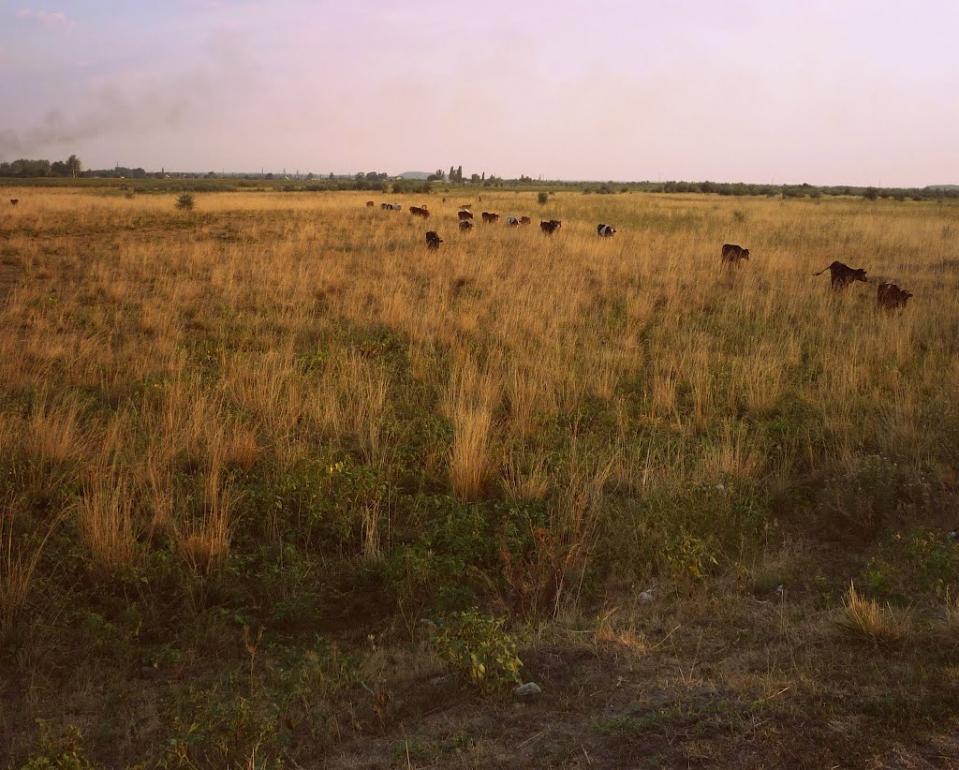 Петропавлівка з panoramio.com - Петропавлівка