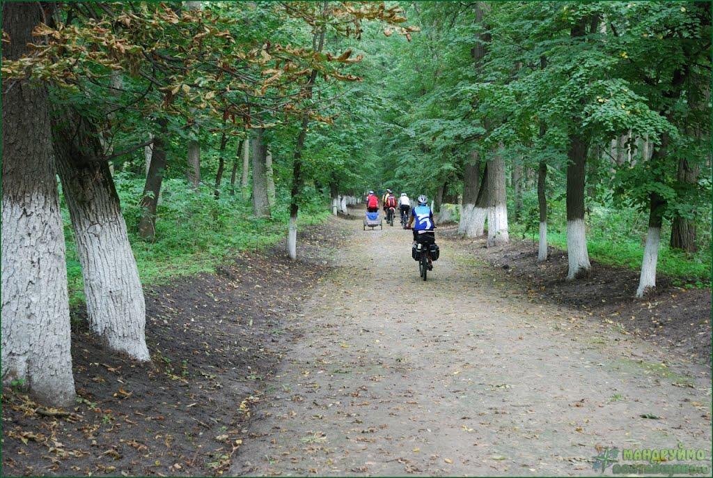Березова Рудка з panoramio.com - Березовая Рудка