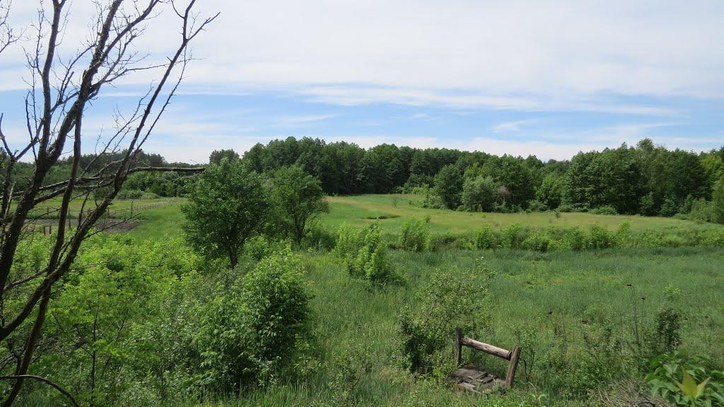 Софіївка з panoramio.com - Софиевка