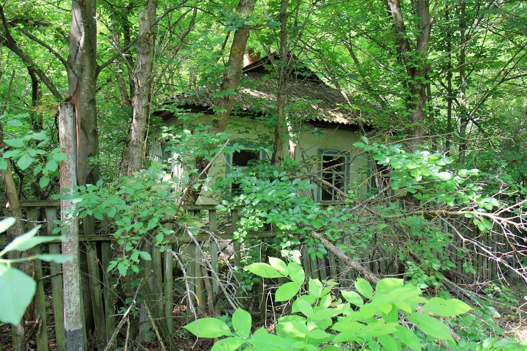 Чорнобиль з panoramio.com (ч.2) - Чернобыль