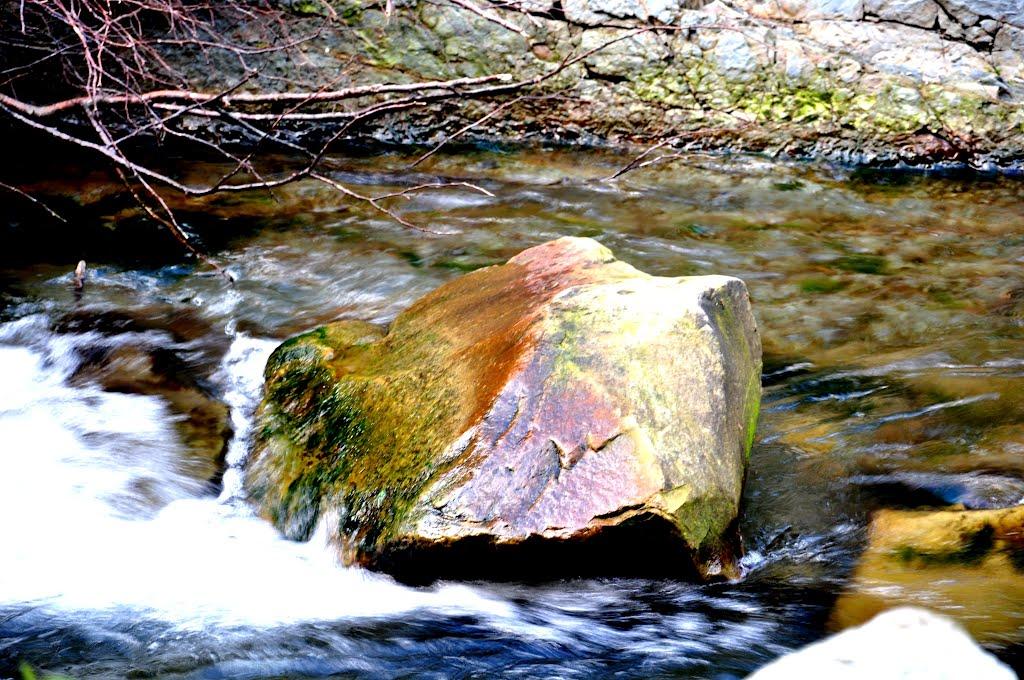 Карпати з panoramio.com - Карпаты