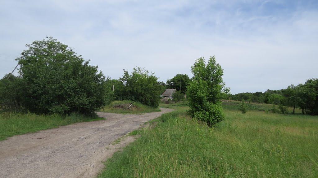 Софіївка з panoramio.com - Софиевка