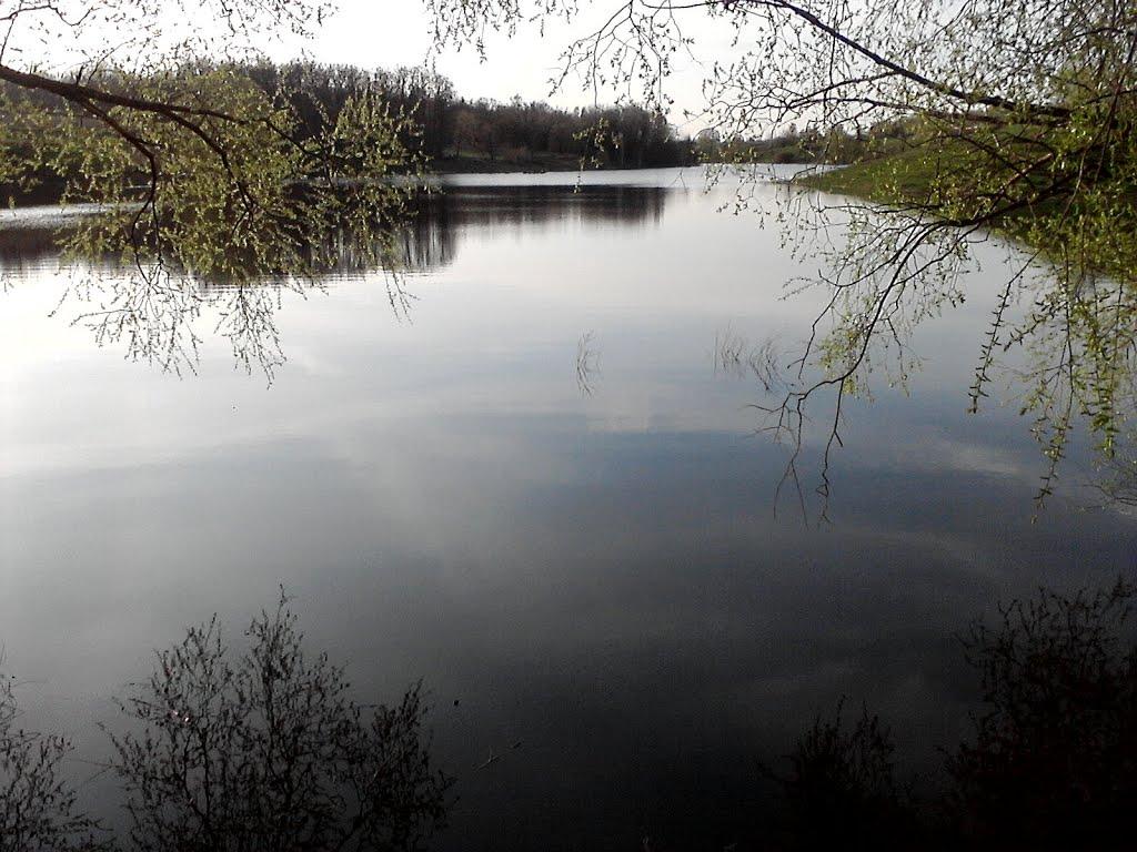 Білоцерківці з panoramio.com - Білоцерківці