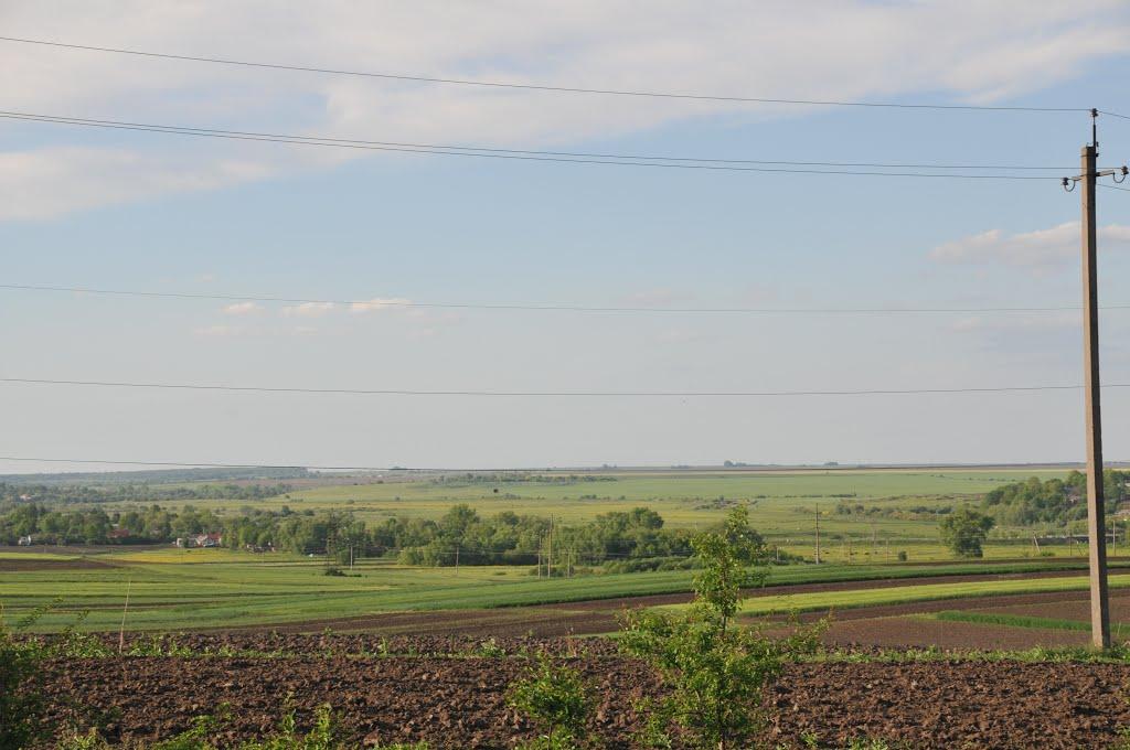 Золотники з panoramio.com - Золотники