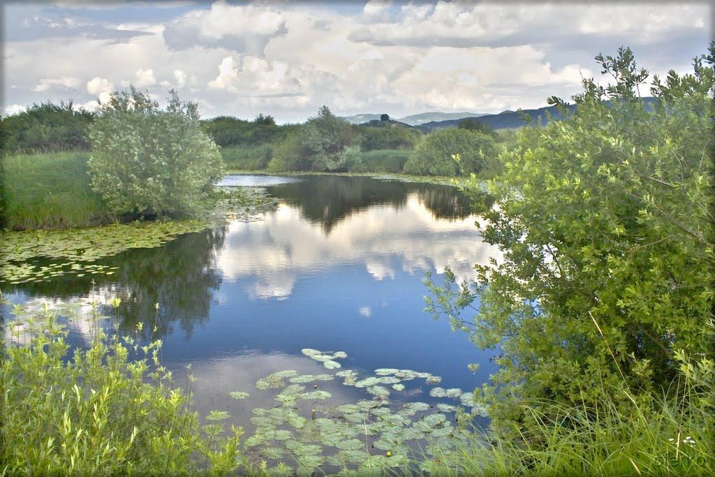Оклі Гедь з panoramio.com - Оклі Гедь
