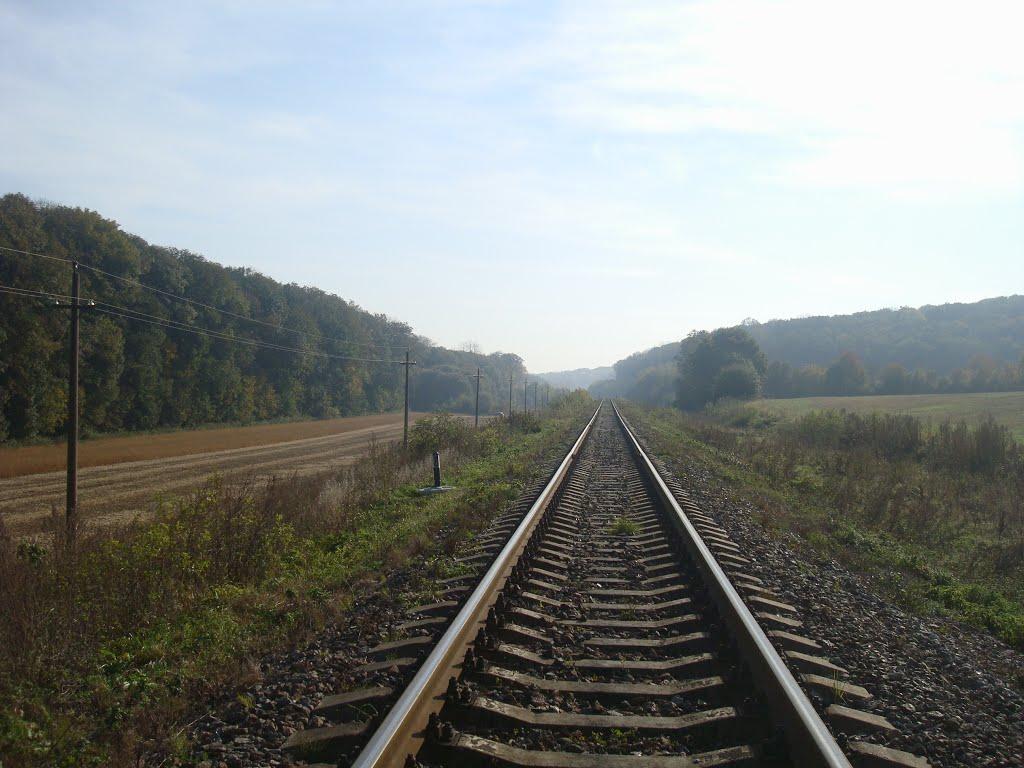 Лісоводи з panoramio.com - Лесоводы