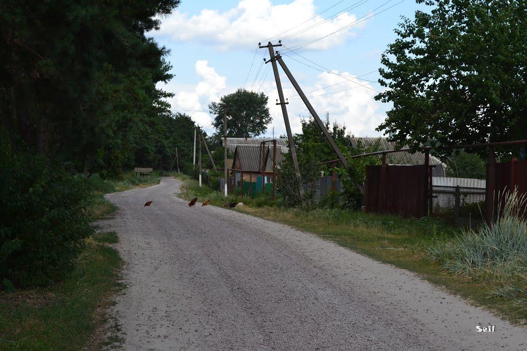 Бездрик з panoramio.com - Бездрик