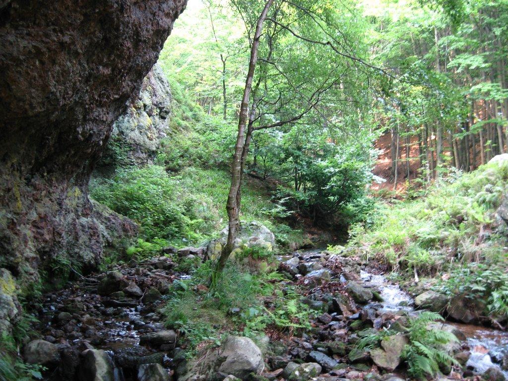 Ільниця з panoramio.com - Ільниця