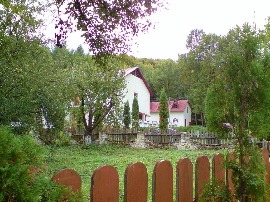 Рогачин з panoramio.com - Rogachyn