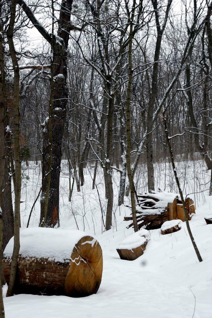 Шарівка з panoramio.com - Шарівка