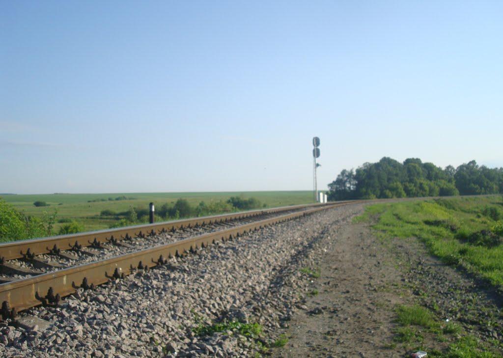 Чотирбоки з panoramio.com - Чотирбоки