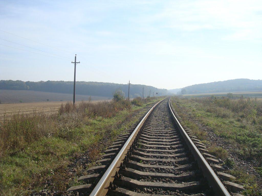 Лісоводи з panoramio.com - Лесоводы