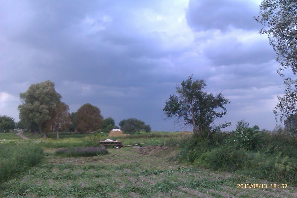 Сатиїв з panoramio.com - Сатиїв