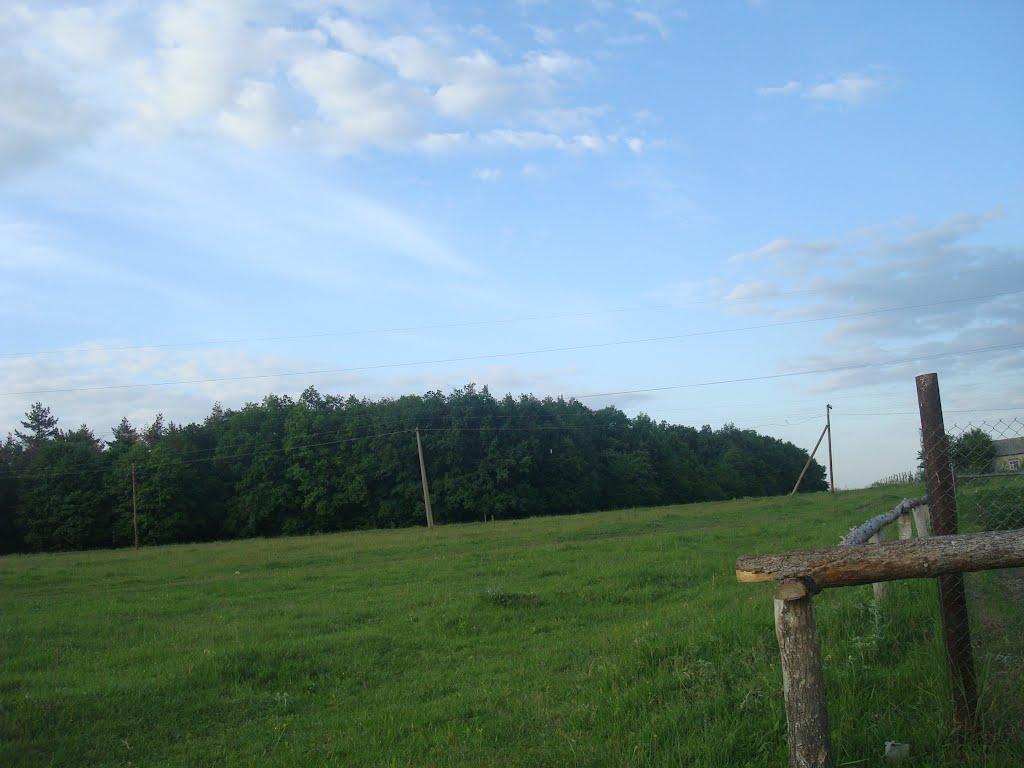 Ставчани з panoramio.com - Ставчаны