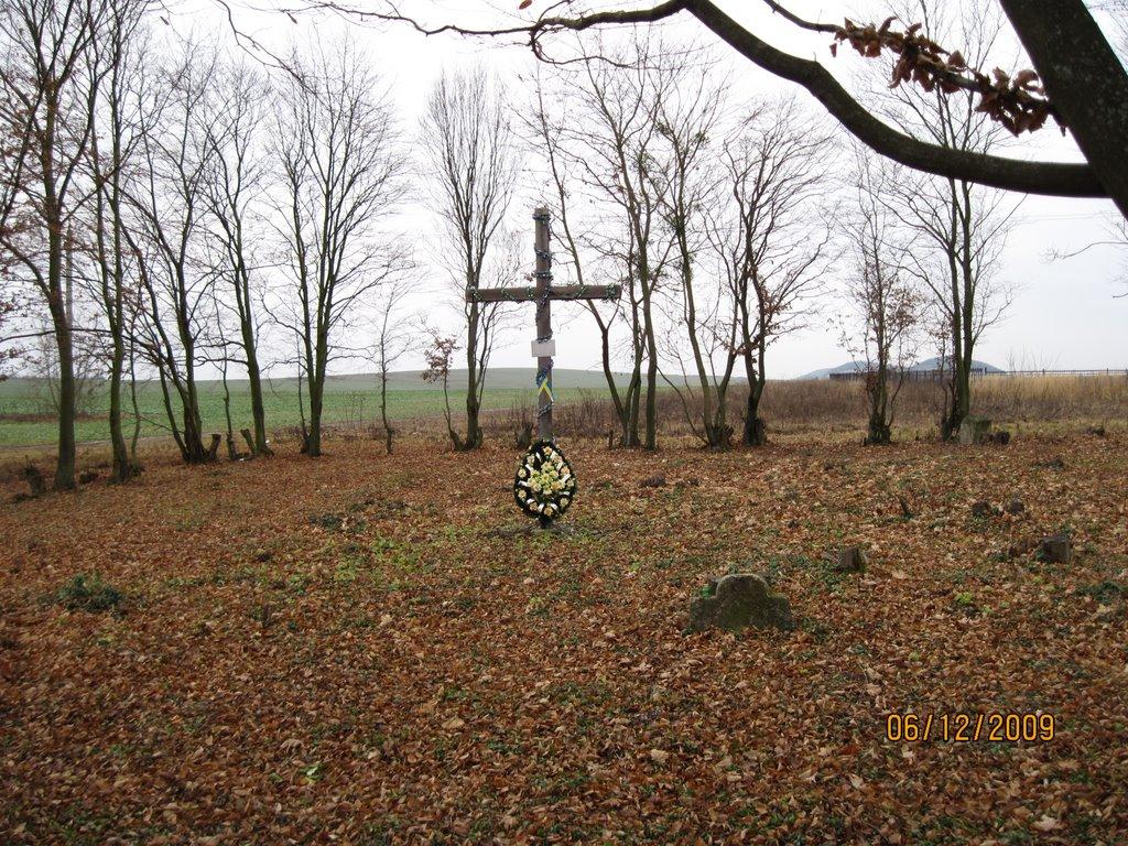 Сасів з panoramio.com - Сасів