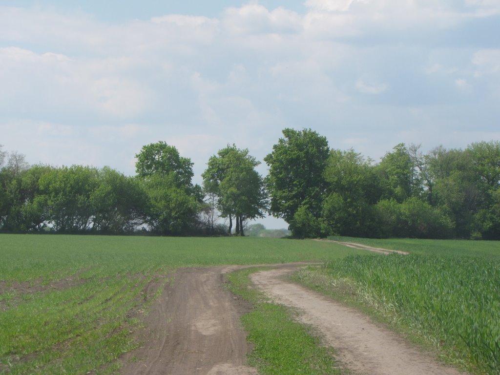 Яцьки з panoramio.com - Яцьки