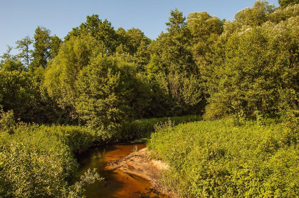 Соснівка з panoramio.com - Соснівка