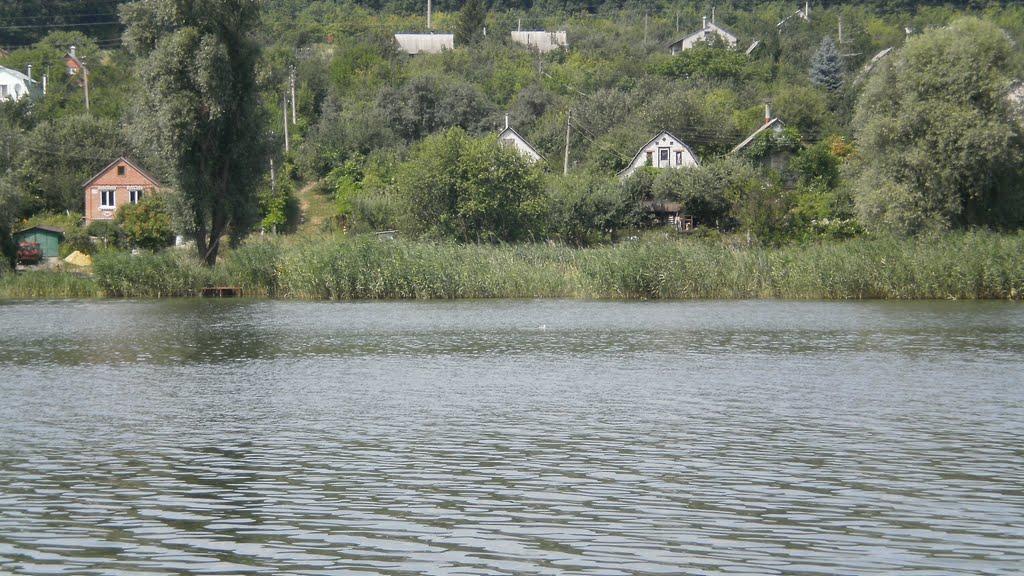 Липці з panoramio.com - Липцы