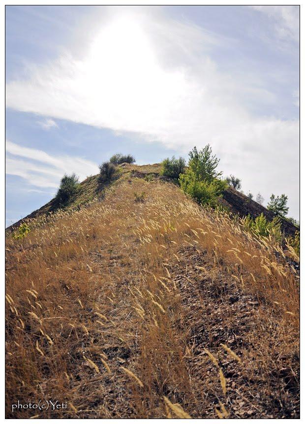 Енгельсове з panoramio.com - Энгельсово