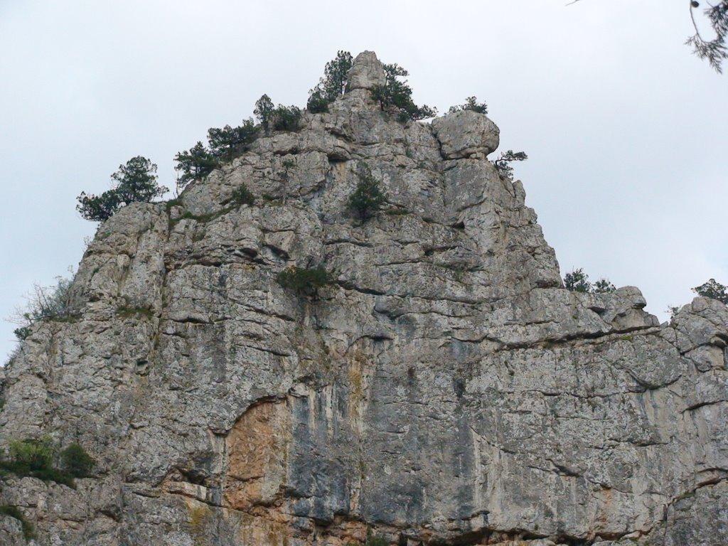 Орлине з panoramio.com - Орлиное