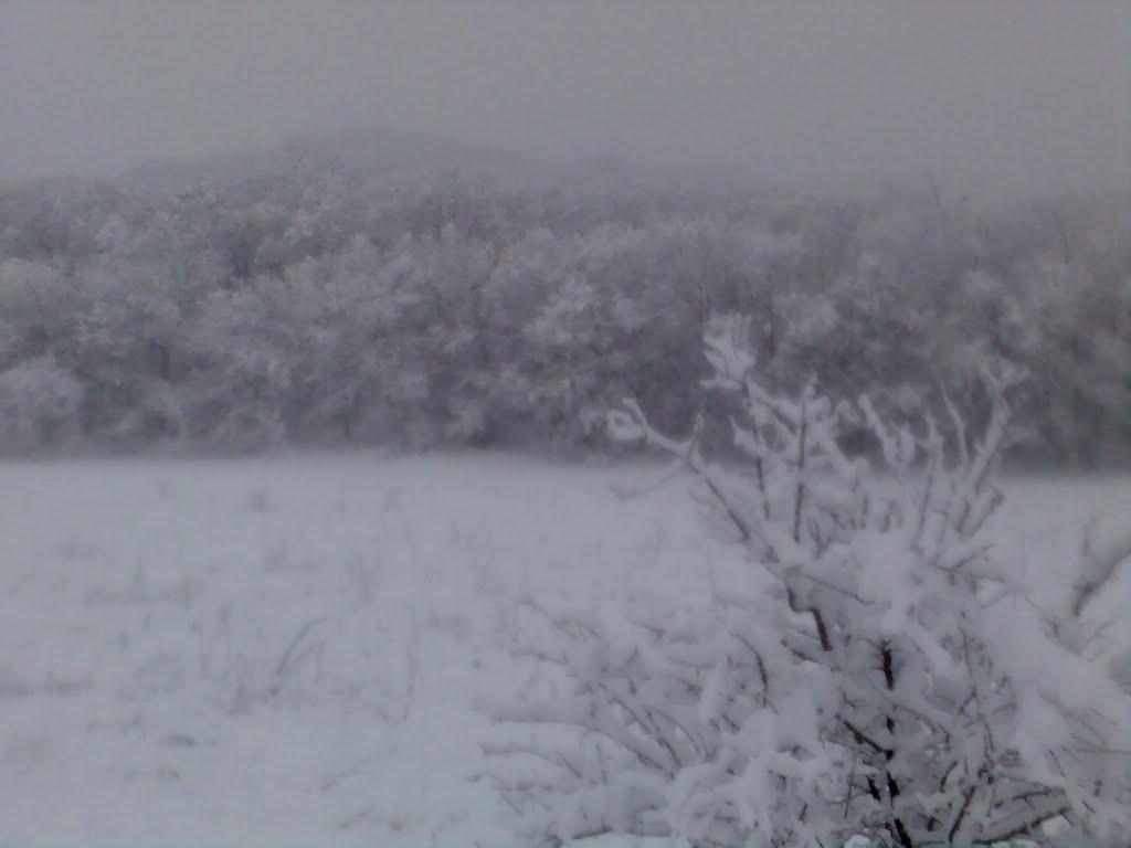 Синьокам'янка з panoramio.com - Синекаменка