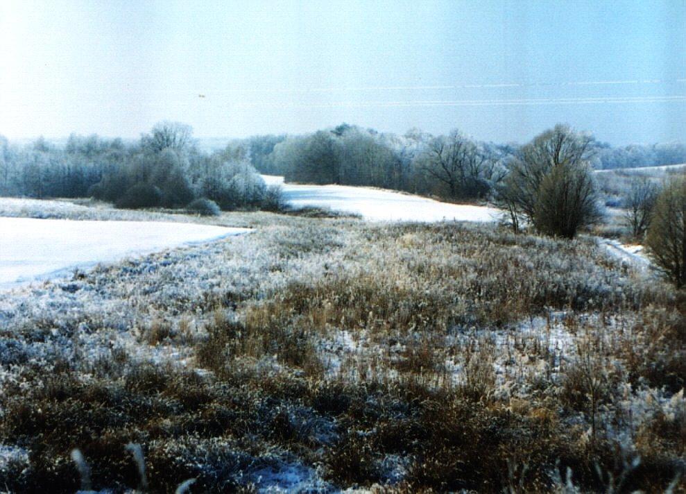 Зелена Гута з panoramio.com - Зелена Гута