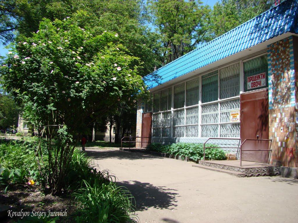 Кам'яне Поле з panoramio.com - Каменное Поле