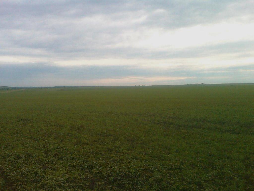 Олексіївка з panoramio.com - Олексіївка