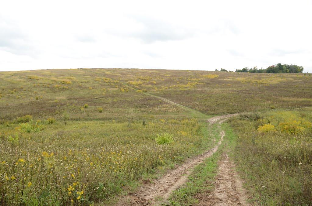 Лісники з panoramio.com - Лесники