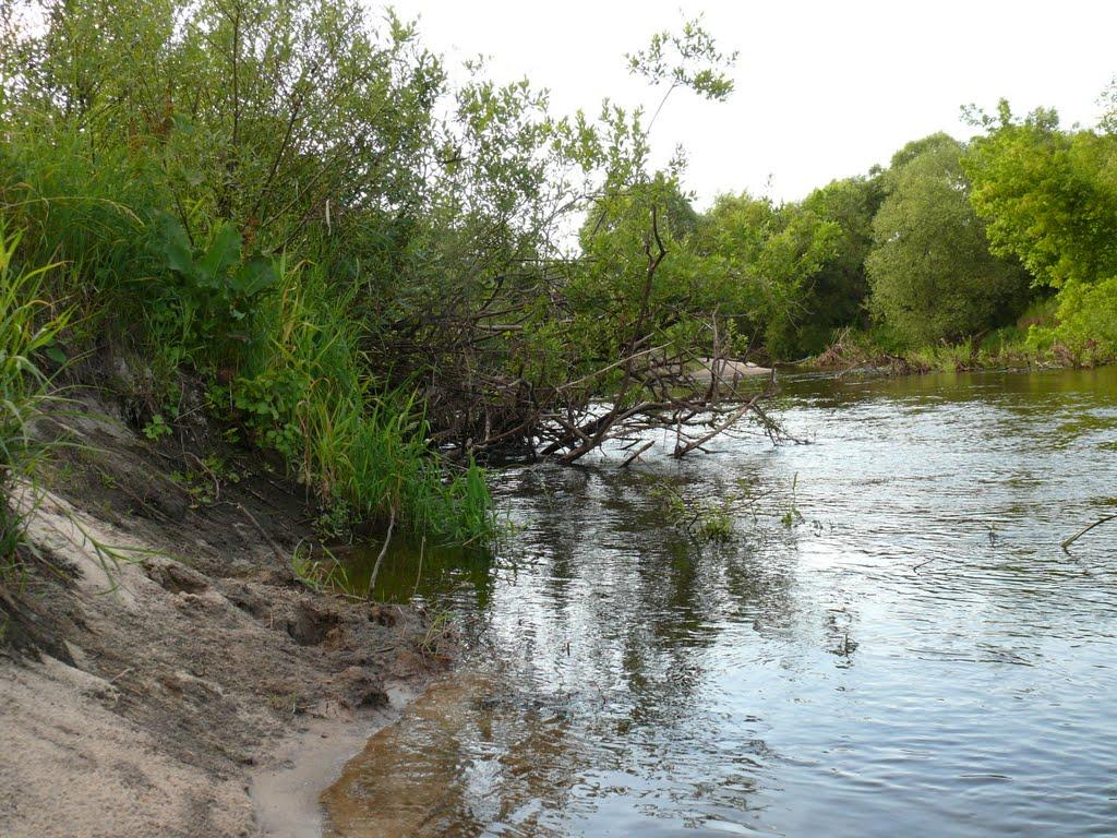 Білий Берег з panoramio.com - Bilyy Bereg