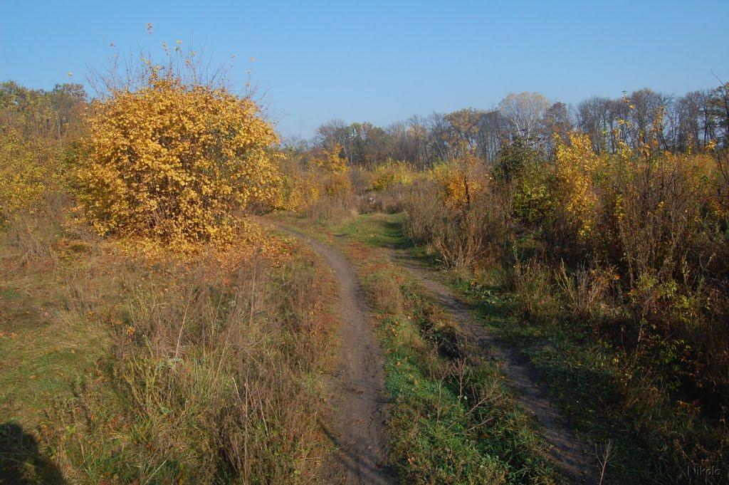 Кремінна з panoramio.com - Kreminna