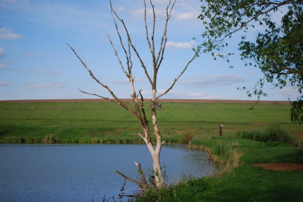 Городецьке з panoramio.com - Gorodetske