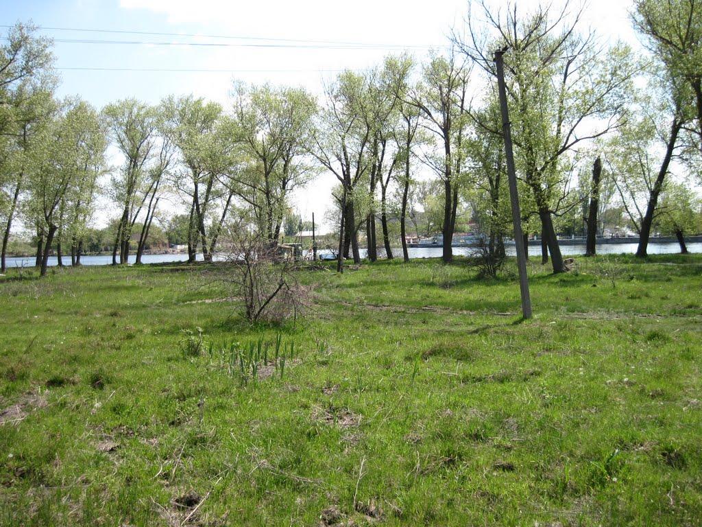 Гола Пристань з panoramio.com - Голая Пристань